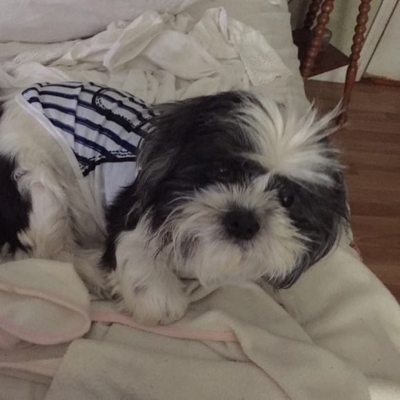 Meet your Posher, Linda - Picture 1 of 1